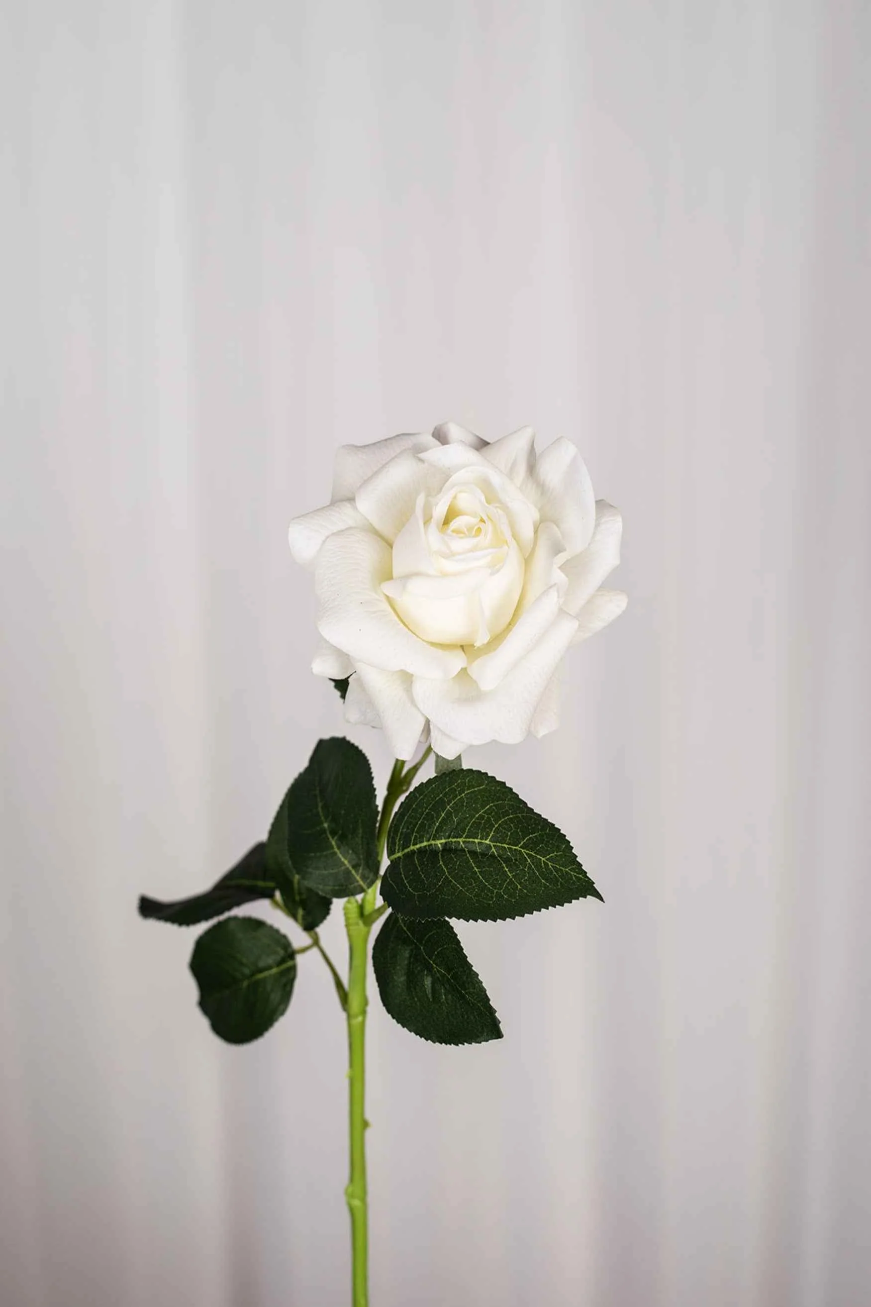 Miniaturebillede 2