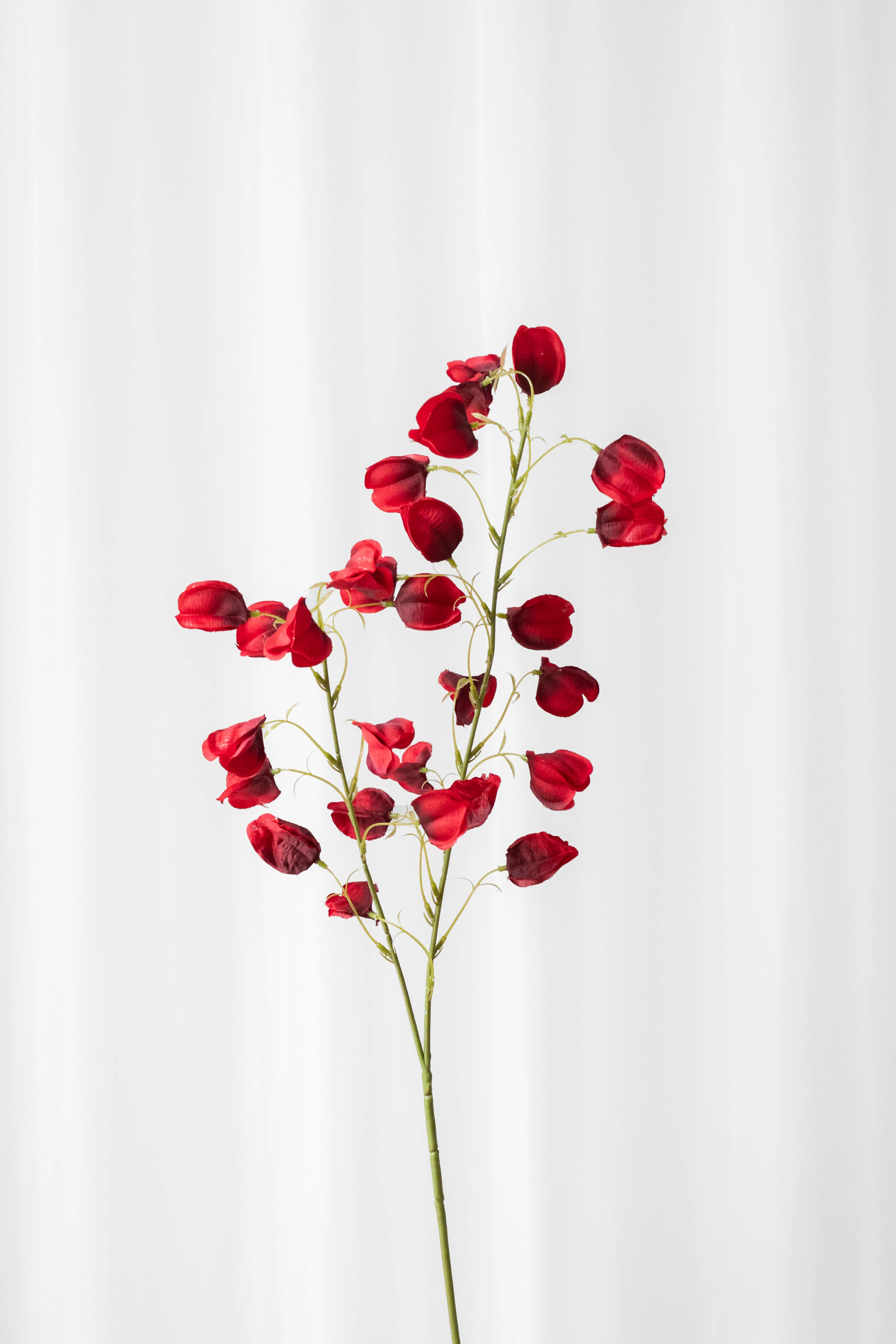 Produktbillede 1